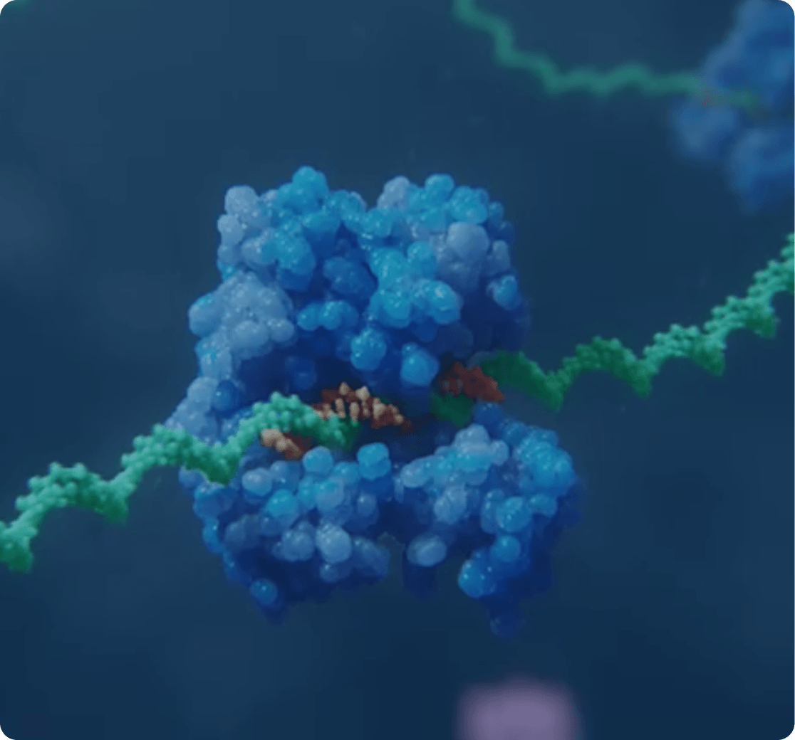 RNAi mechanism of action