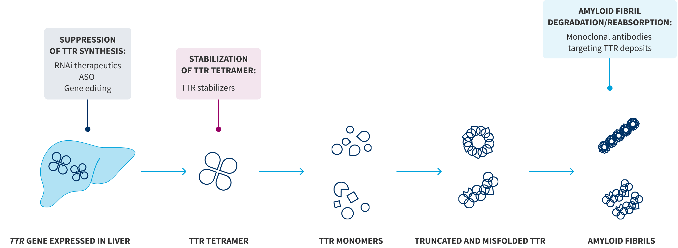 Mechanisms diagram