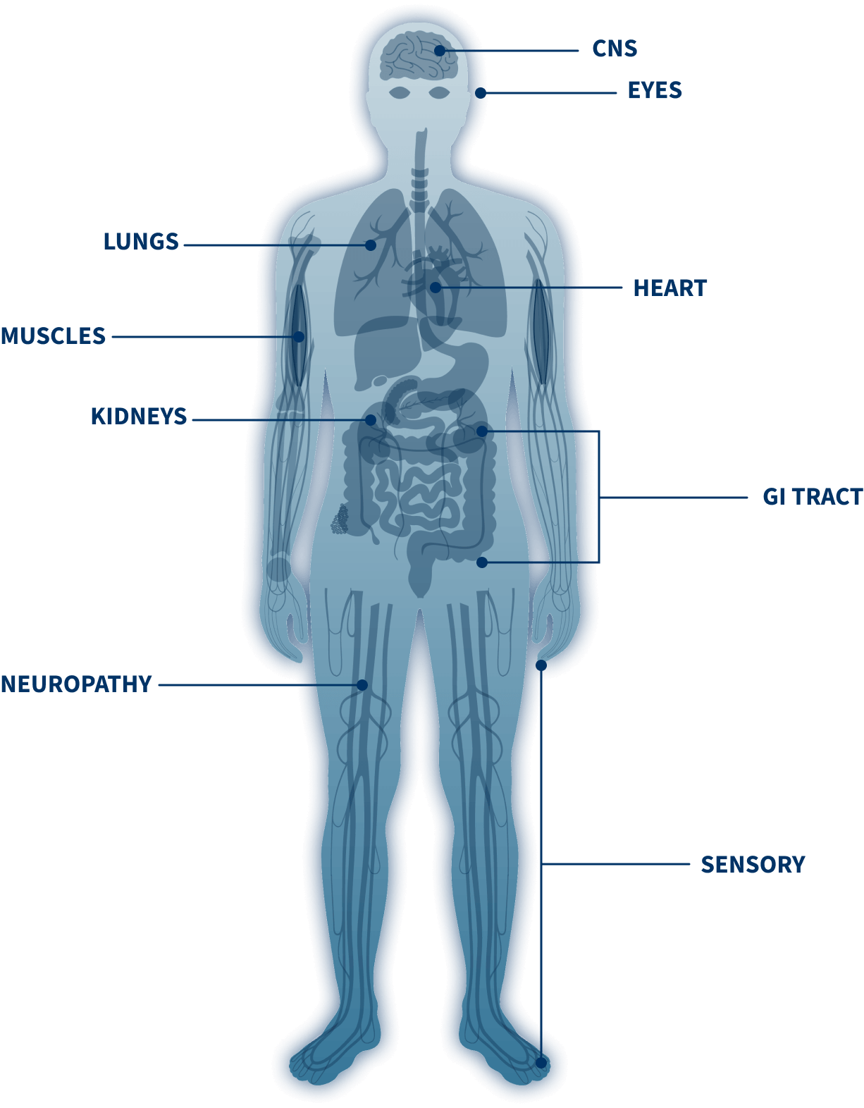 ATTR disease presentation