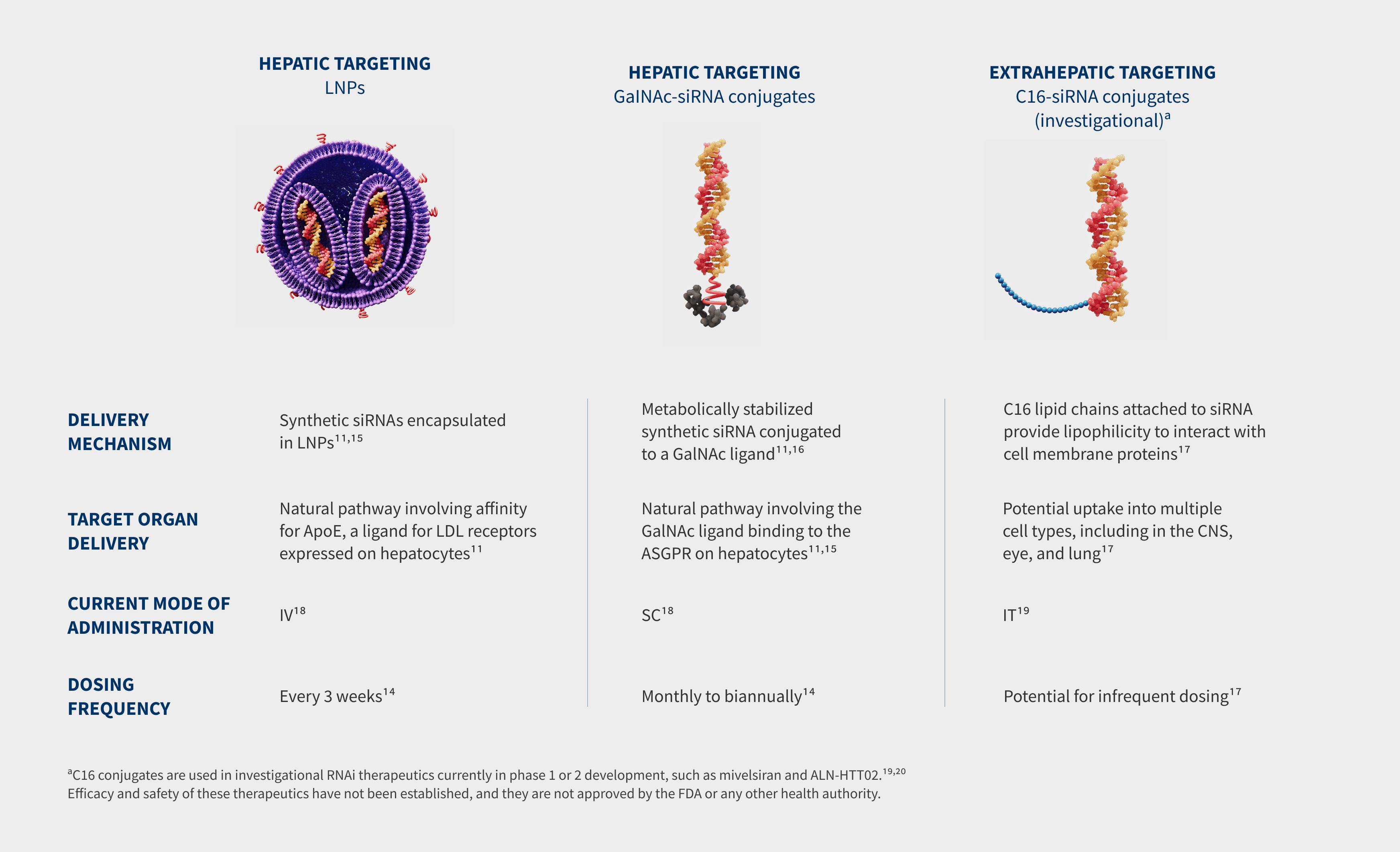 RNAi delivery systems accordion