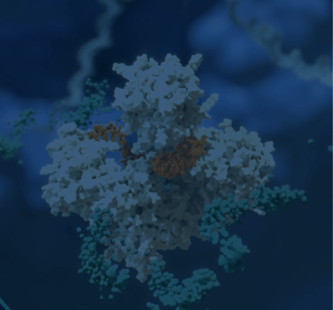 Card background image