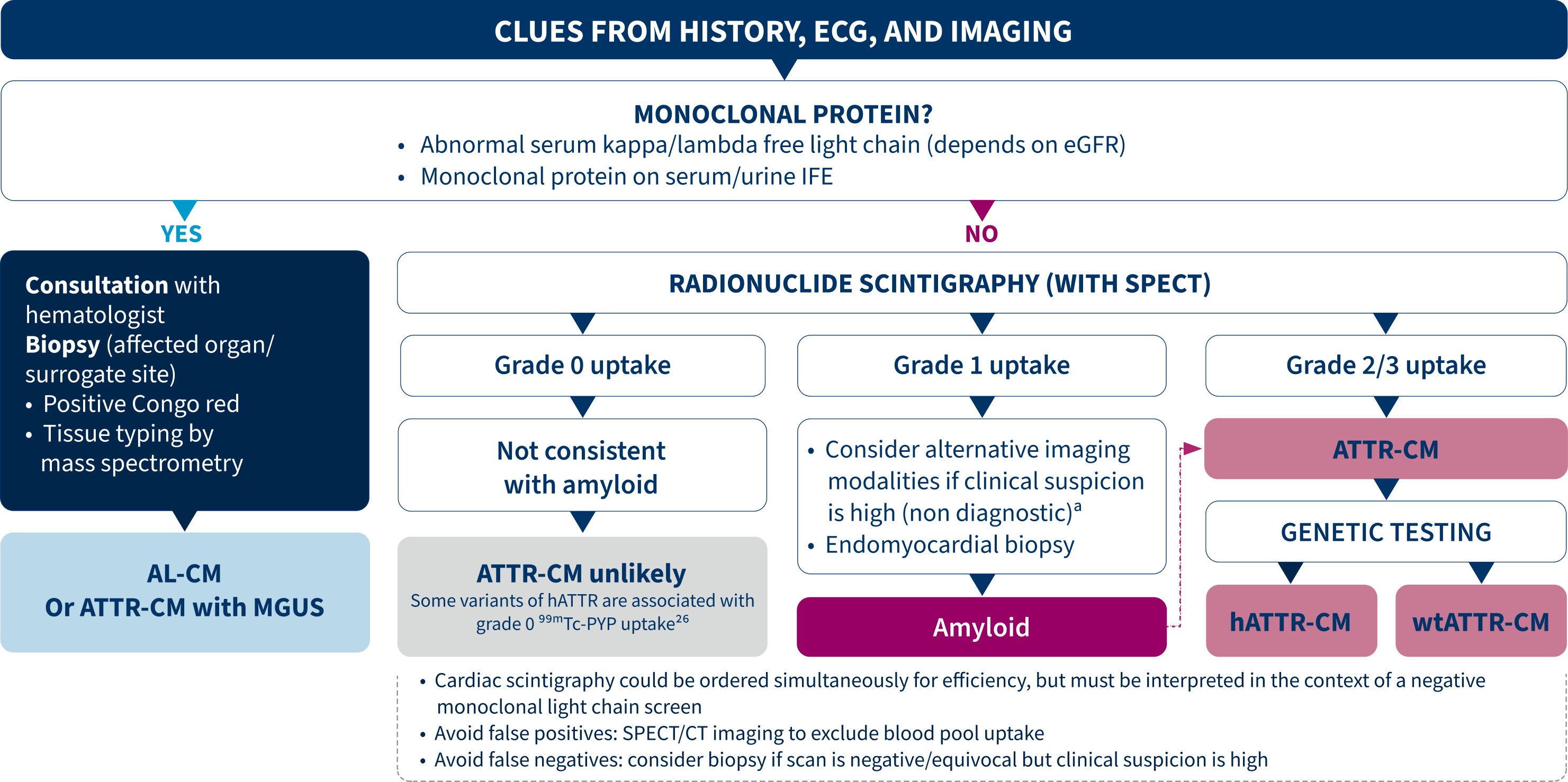 Diagnosting suspected ATTR