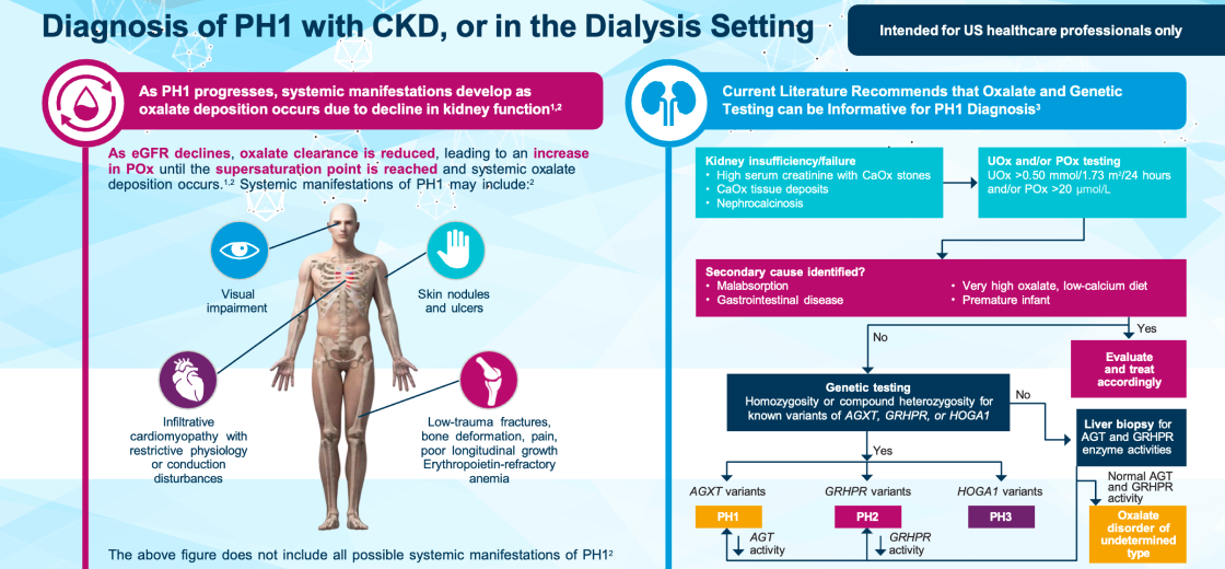 Diagnosis of PH1 in CKD or Dialysis Patients
