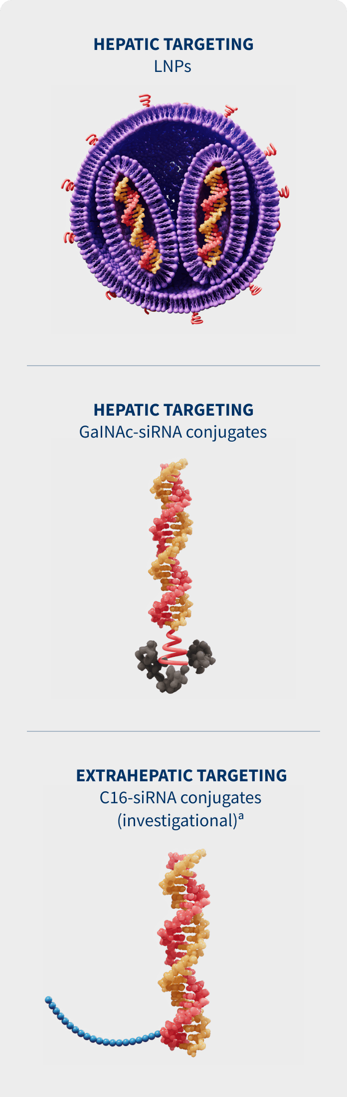 Mobile view of delivery systems for RNAi therapeutics in collapsed state