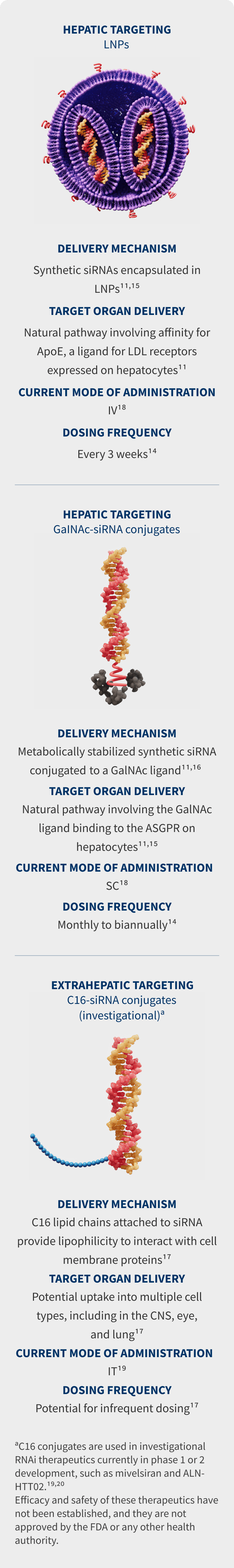 Mobile view of delivery systems for RNAi therapeutics in expanded state