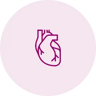 cardiovascular